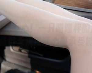 紧急企划 – 小心！一只喵喵梓的泳装图册，免费但无法保证心脏承受能力。