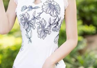 语画界 – 图集中游走的夏小雅，第二套也没少走错路吧？